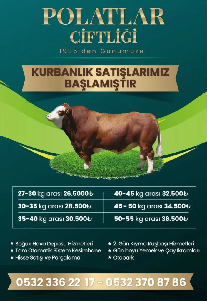 Polatlar Çiftliği’nde kurbanlık satışları başladı