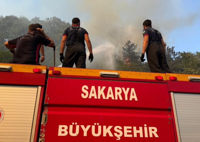 Büyükşehir’den orman yangınlarıyla ilgili açıklama: “İkisi kontrol altında”