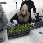 SATSO Meclis Üyeleri Sapanca’daki Doku Kültürü Laboratuvarını İnceledi