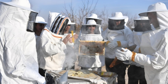 WhatsApp Image 2026-04-25 at 16.23.03 (1)